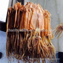 export dried shredded squid, dried illex squid